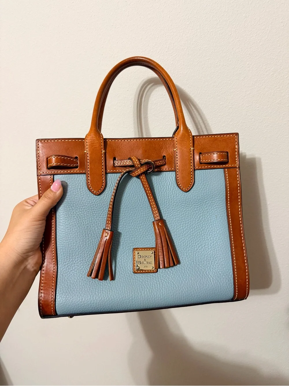 Dooney & Bourke classic structured